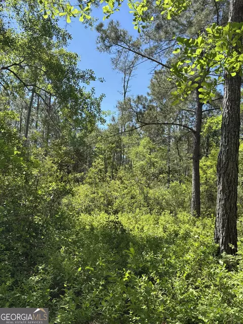 0 Rincon Stillwell Rd, Springfield, GA 31329 photo 10