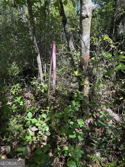 0 Rincon Stillwell Rd, Springfield, GA 31329