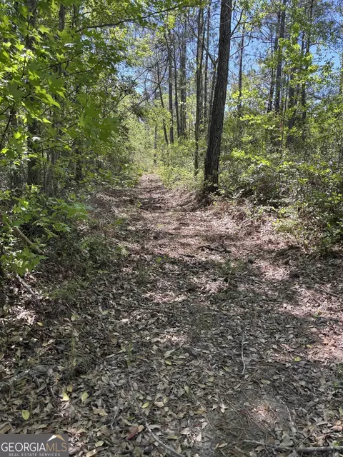 0 Rincon Stillwell Rd, Springfield, GA 31329 photo 12