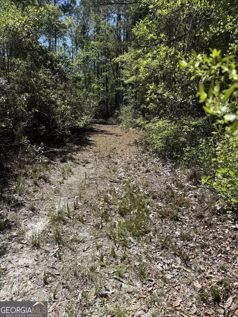 0 Rincon Stillwell Rd, Springfield, GA 31329 photo 15