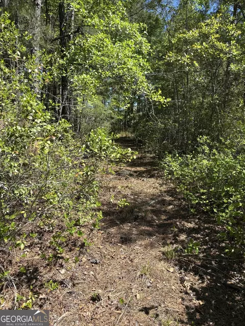 0 Rincon Stillwell Rd, Springfield, GA 31329 photo 2