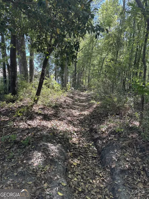 0 Rincon Stillwell Rd, Springfield, GA 31329 photo 9