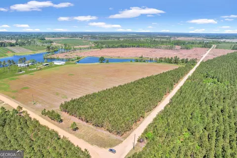 Tract 1 Sanderling Road, Alma, GA 31510