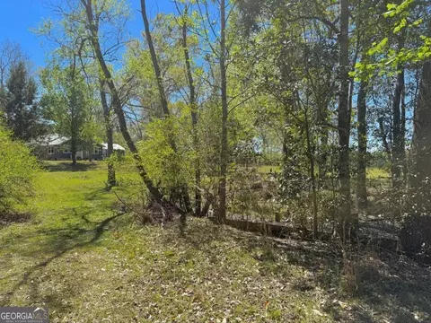 Other - 138 Solid Rock Ln, Mc Rae, GA 31055 photo 15 of 26
