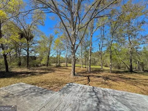 Exterior - 138 Solid Rock Ln, Mc Rae, GA 31055 photo 6 of 13
