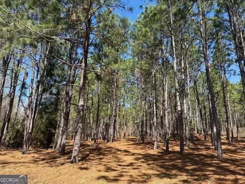 Other - 138 Solid Rock Ln, Mc Rae, GA 31055 photo 25 of 26