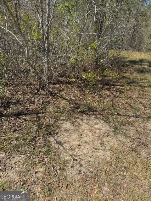 Other - 138 Solid Rock Ln, Mc Rae, GA 31055 photo 22 of 26