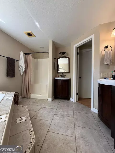Bath - 138 Solid Rock Ln, Mc Rae, GA 31055 photo 1 of 6