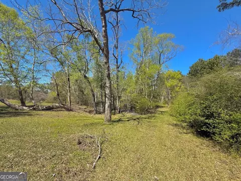 Exterior - 138 Solid Rock Ln, Mc Rae, GA 31055 photo 11 of 13