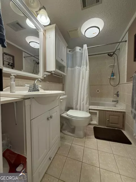 Bath - 138 Solid Rock Ln, Mc Rae, GA 31055 photo 6 of 6