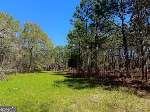 Other - 138 Solid Rock Ln, Mc Rae, GA 31055 photo 19 of 26