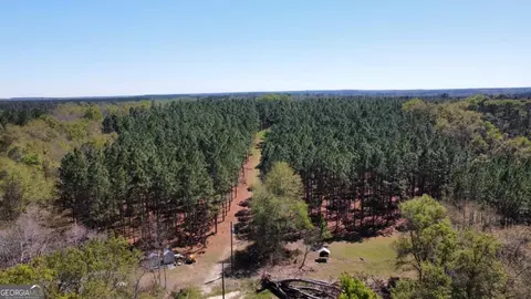 Other - 138 Solid Rock Ln, Mc Rae, GA 31055 photo 26 of 26