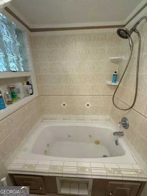 Bath - 138 Solid Rock Ln, Mc Rae, GA 31055 photo 5 of 6