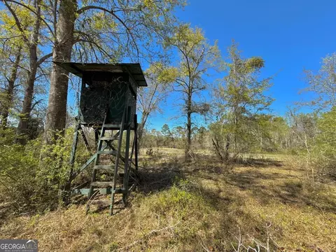 Other - 138 Solid Rock Ln, Mc Rae, GA 31055 photo 23 of 26