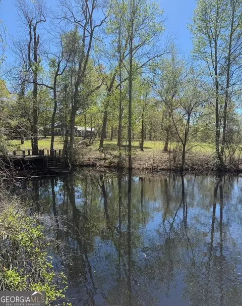 View/Area - 138 Solid Rock Ln, Mc Rae, GA 31055 photo 1 of 1