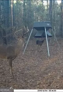 Other - 138 Solid Rock Ln, Mc Rae, GA 31055 photo 20 of 26