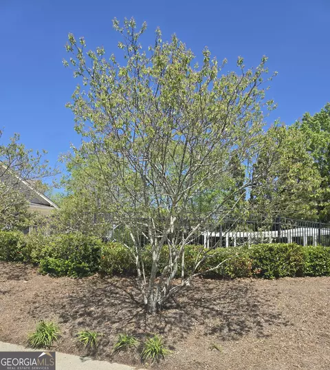 Exterior - 1304 Slate Bend Dr, Dacula, GA 30019 photo 8 of 8