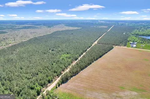 Tract 2 Ocelot Road, Alma, GA 31510
