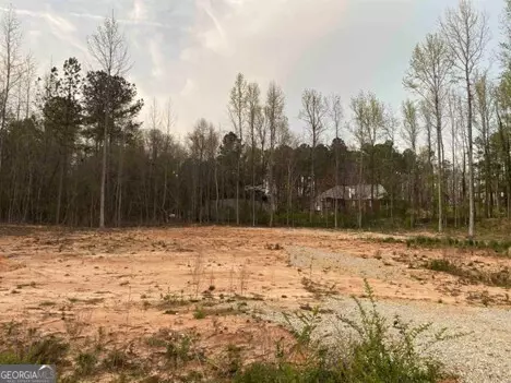 0 Briarwood Rd, Stockbridge, GA 30281