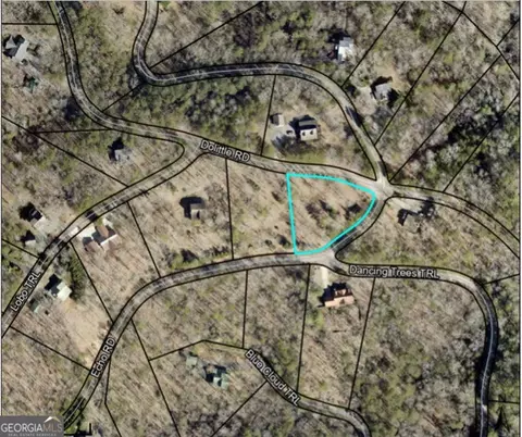 lot253 Echo Rd, Morganton, GA 30560