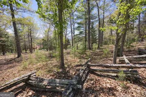 lot253 Echo Rd, Morganton, GA 30560 photo 6