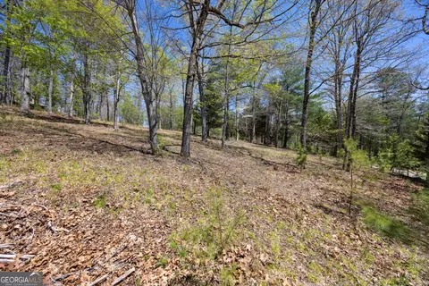 lot253 Echo Rd, Morganton, GA 30560 photo 12