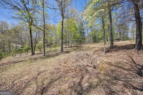 lot253 Echo Rd, Morganton, GA 30560 photo 9