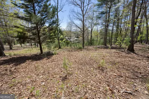 lot253 Echo Rd, Morganton, GA 30560 photo 2