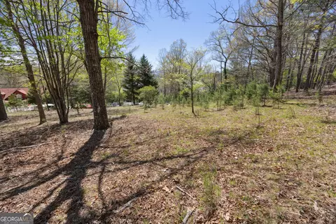 lot253 Echo Rd, Morganton, GA 30560 photo 11