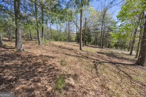 lot253 Echo Rd, Morganton, GA 30560 photo 10