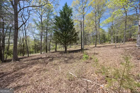 lot253 Echo Rd, Morganton, GA 30560 photo 8