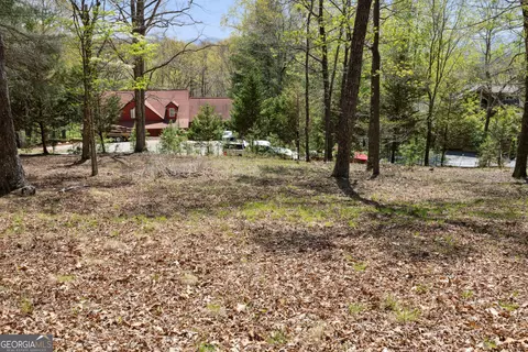 lot253 Echo Rd, Morganton, GA 30560 photo 4