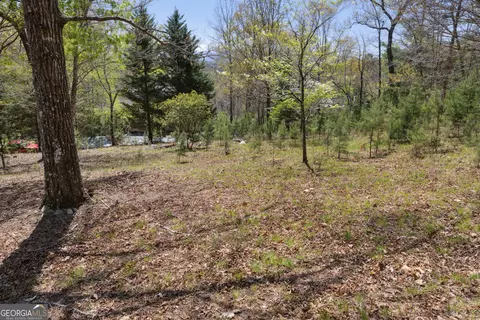 lot253 Echo Rd, Morganton, GA 30560 photo 3