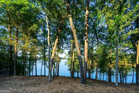 5006 Riverside Ln, Lagrange, GA 30240 photo 68