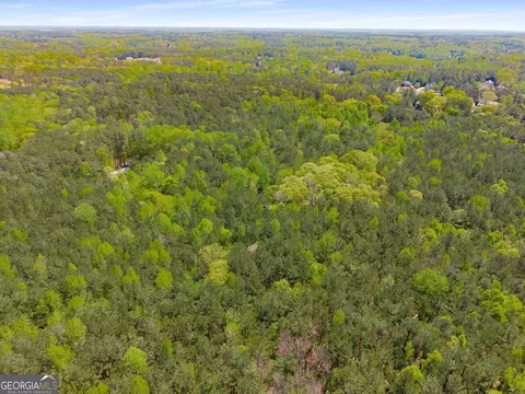0 Pinecrest Dr, Tyrone, GA 30290 photo 14