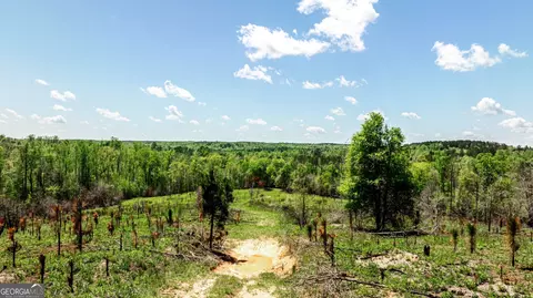 0 Kemp Rd, Buena Vista, GA 31803