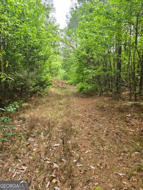 0 S Us Highway 1, Wadley, GA 30477