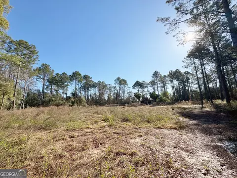 0 Old Ga Highway 3, Pelham, GA 31779 photo 2