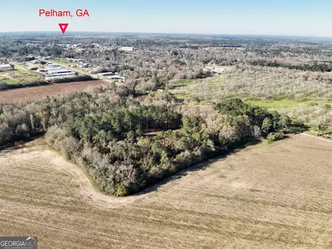 0 Old Ga Highway 3, Pelham, GA 31779 photo 7