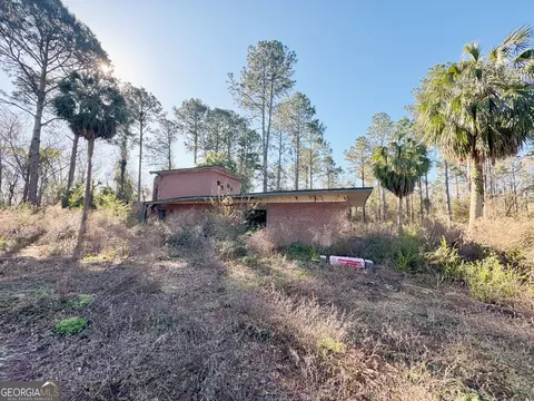 0 Old Ga Highway 3, Pelham, GA 31779 photo 5