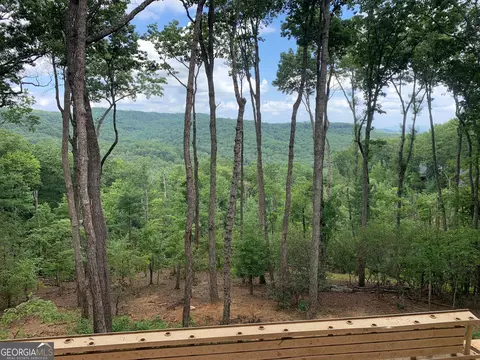Other - 394 Mountain Trce, Cherry Log, GA 30522 photo 13 of 14
