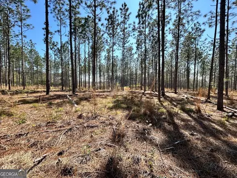 0 Gunn Rd, Sumner, GA 31789 photo 3
