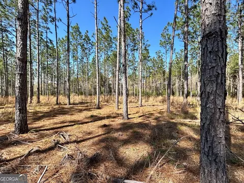 0 Gunn Rd, Sumner, GA 31789 photo 6
