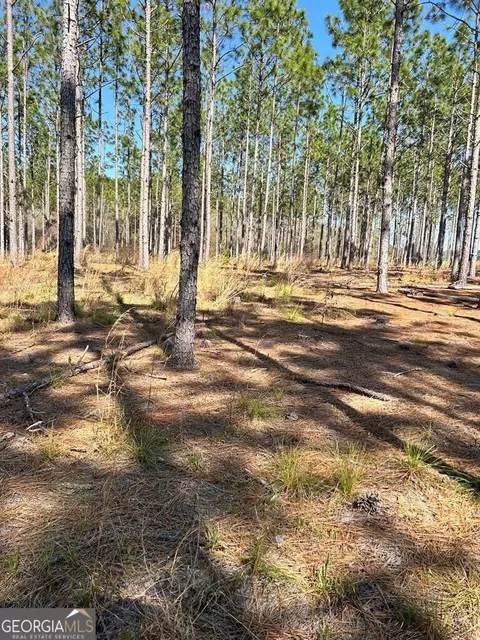 0 Gunn Rd, Sumner, GA 31789 photo 5