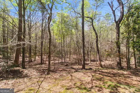 455 Heads Ferry Rd, Cornelia, GA 30531 photo 21