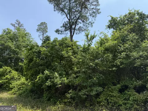 0 Jordan Rd, Byron, GA 31008 photo 7
