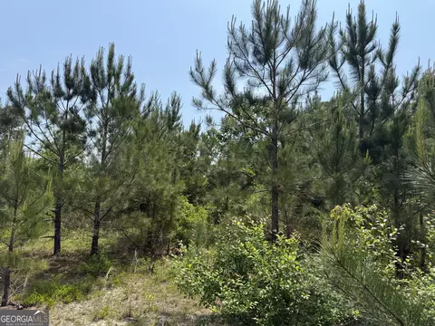 0 Jordan Rd, Byron, GA 31008 photo 5