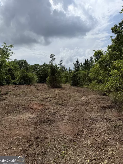 0 Jordan Rd, Byron, GA 31008 photo 20