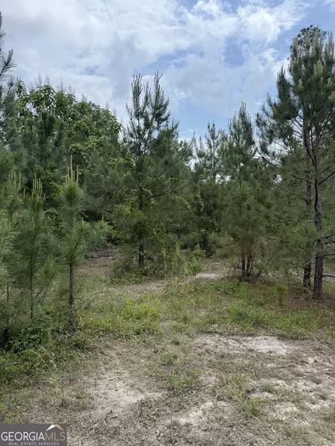 0 Jordan Rd, Byron, GA 31008 photo 22