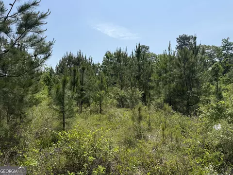 0 Jordan Rd, Byron, GA 31008 photo 2